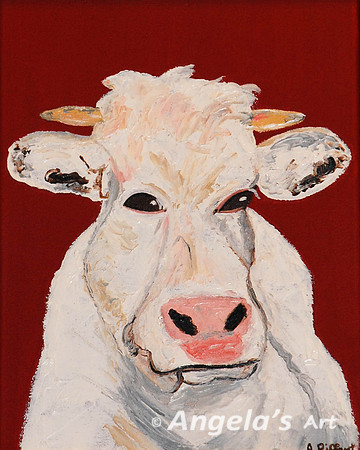 How Now White Cow