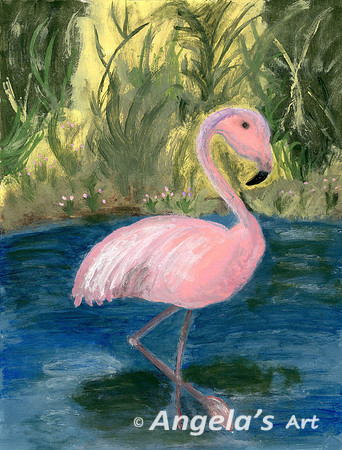 Flamingo