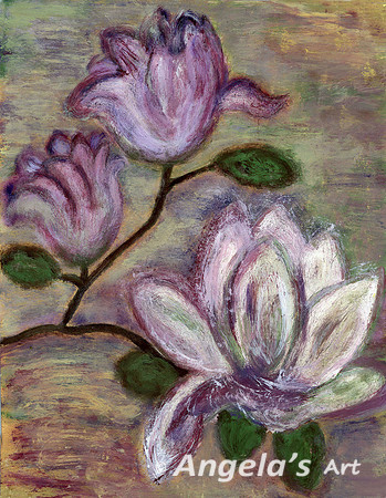 Magnolia