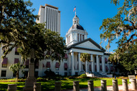 Florida State Capitols - Old & New-2