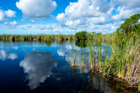 Everglades
