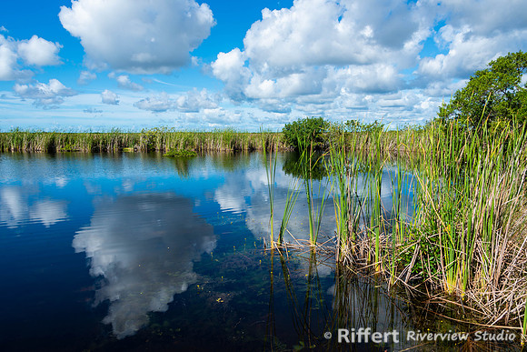 Everglades