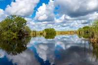 Everglades-2