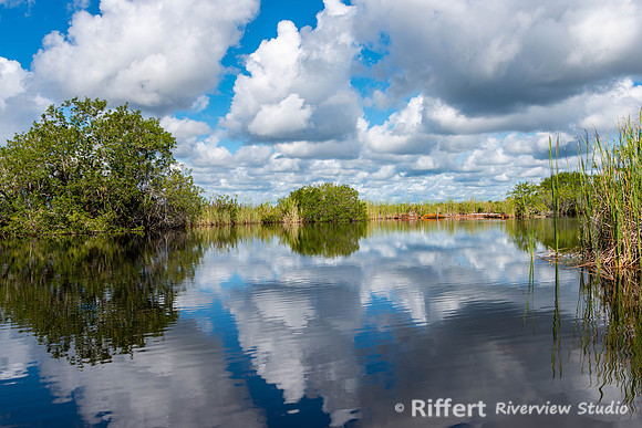 Everglades-2