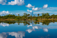 Everglades-3