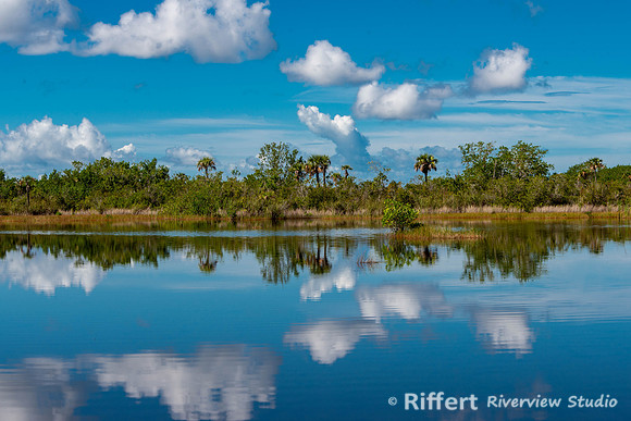 Everglades-3