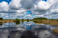 Everglades-4