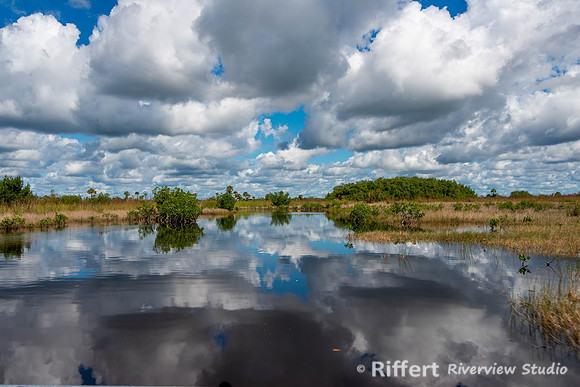 Everglades-4