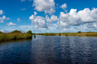 Everglades-5