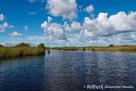 Everglades-5