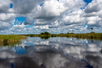 Everglades-6