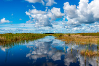 Everglades-7
