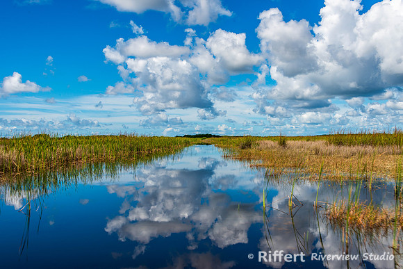 Everglades-7