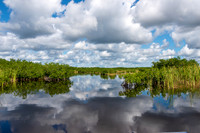 Everglades-8