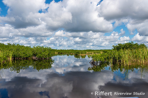 Everglades-8