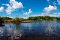 Everglades-9