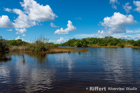 Everglades-9