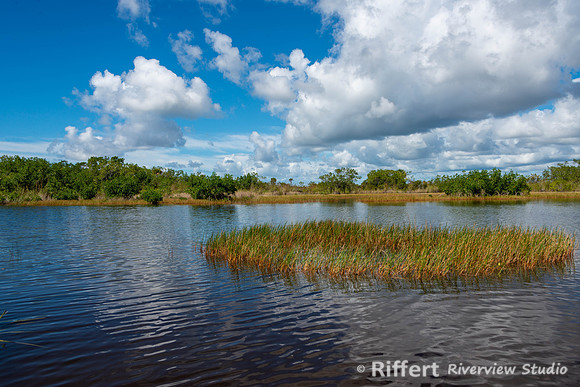 Everglades-10