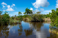 Everglades-11