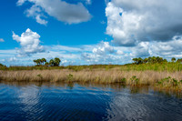 Everglades-12