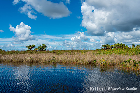 Everglades-12