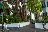 Key West Streets-2