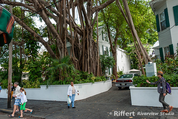 Key West Streets-2