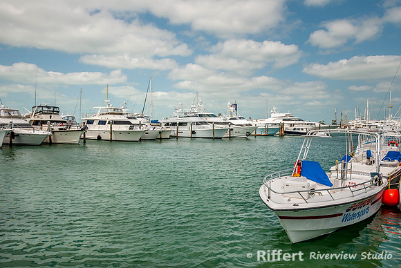 Key West Marina-3