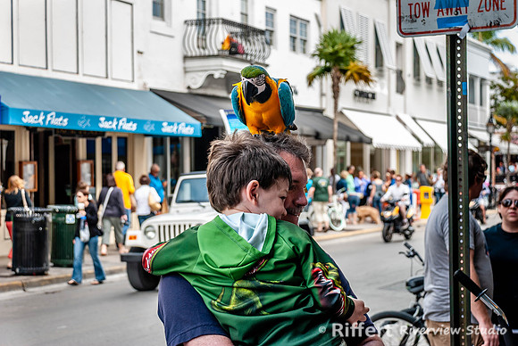 Duval Street-47