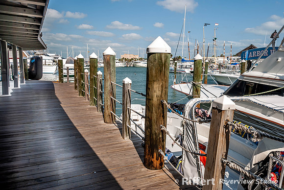 Key West Marina-9