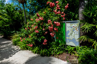 Naples Botanical Gardens-3