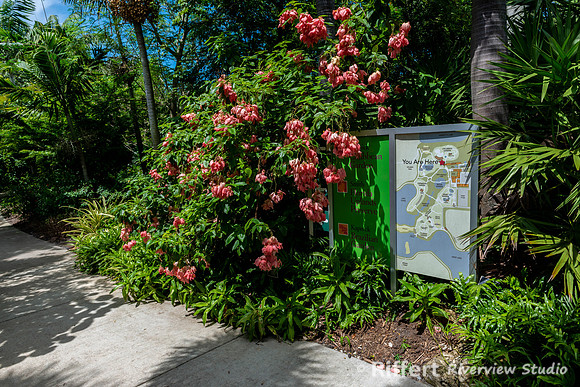 Naples Botanical Gardens-3