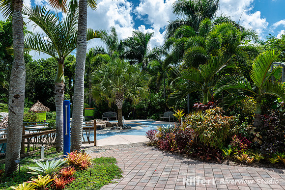 Naples Botanical Gardens-8