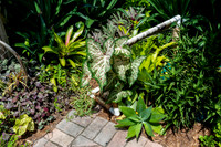 Naples Botanical Gardens-11