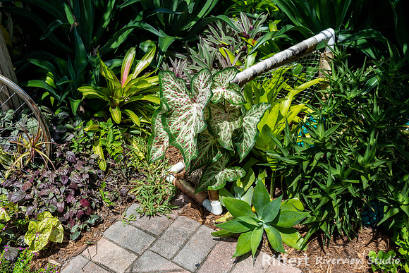 Naples Botanical Gardens-11
