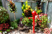 Naples Botanical Gardens-12
