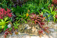 Naples Botanical Gardens-14