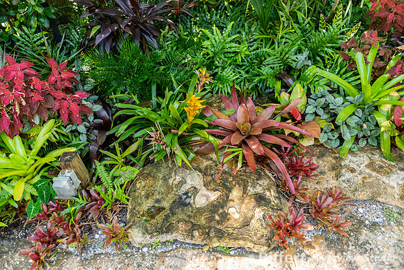 Naples Botanical Gardens-14