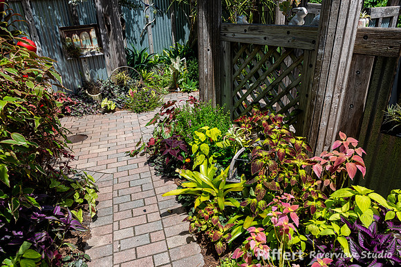 Naples Botanical Gardens-13