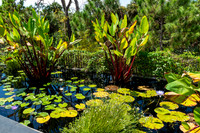 Naples Botanical Gardens-16