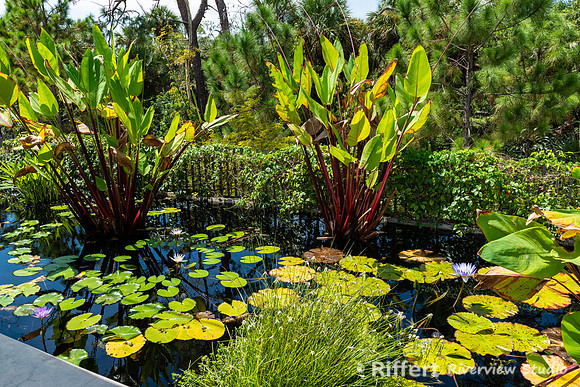 Naples Botanical Gardens-16