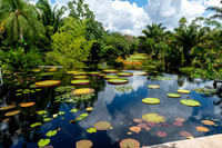 Naples Botanical Gardens-17
