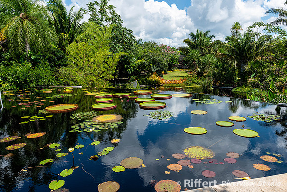 Naples Botanical Gardens-17
