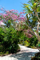 Naples Botanical Gardens-21