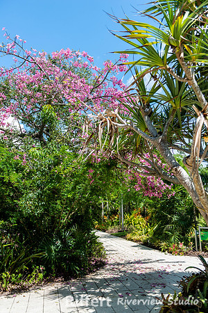 Naples Botanical Gardens-21