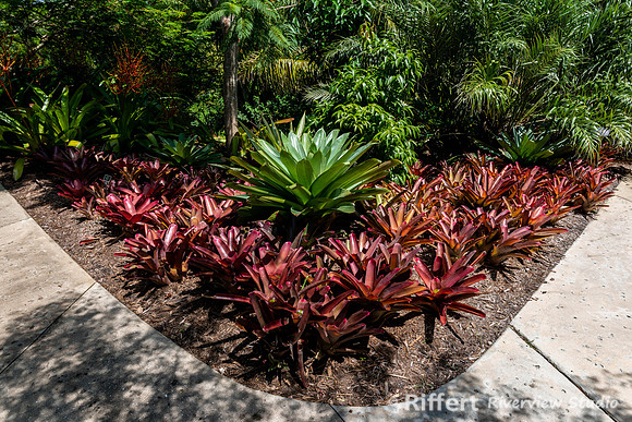 Naples Botanical Gardens-20