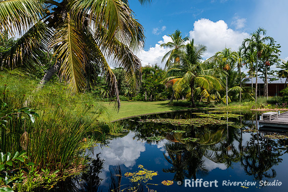 Naples Botanical Gardens-22