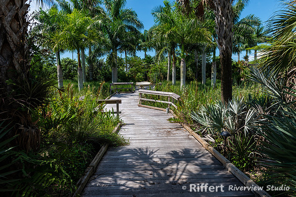 Naples Botanical Gardens-28