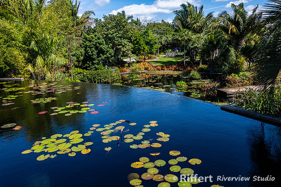 Naples Botanical Gardens-36