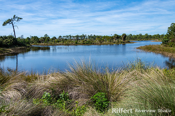 Naples Botanical Gardens-46